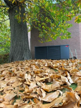 Hoval Belaria Pro (50)